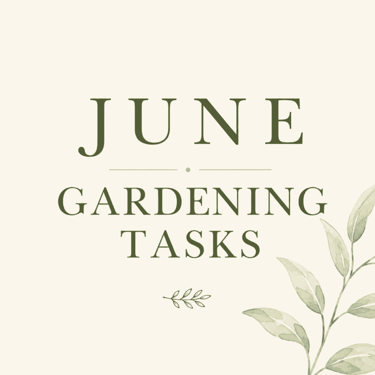 June gardening tasks.