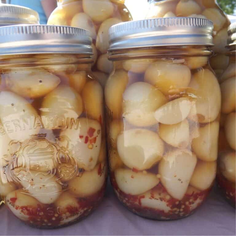 A jar of pickled garlic that was canned at home.