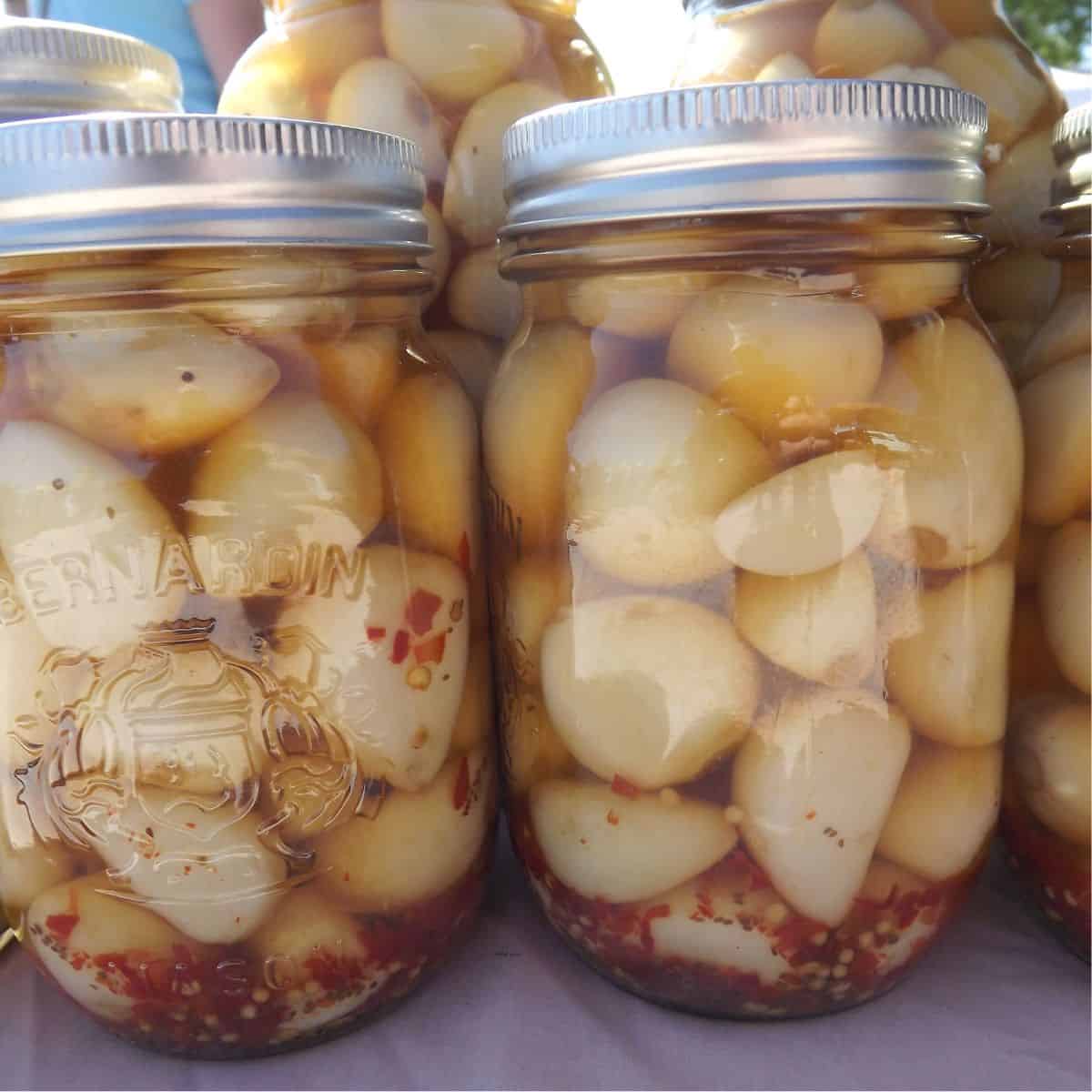 A jar of pickled garlic that was canned at home.